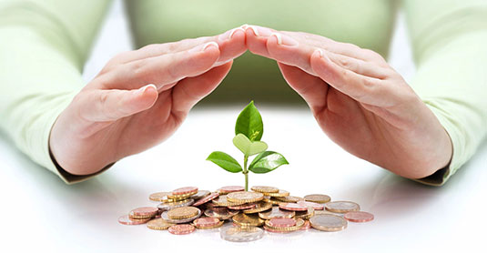 A person 's hands are holding a plant in front of coins.